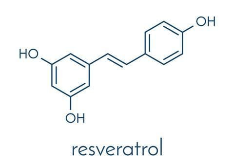 Powerful Health Benefits of Resveratrol